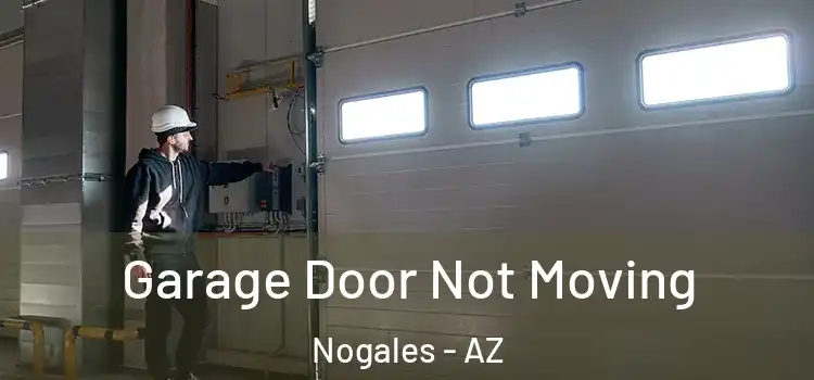  Garage Door Not Moving Nogales - AZ