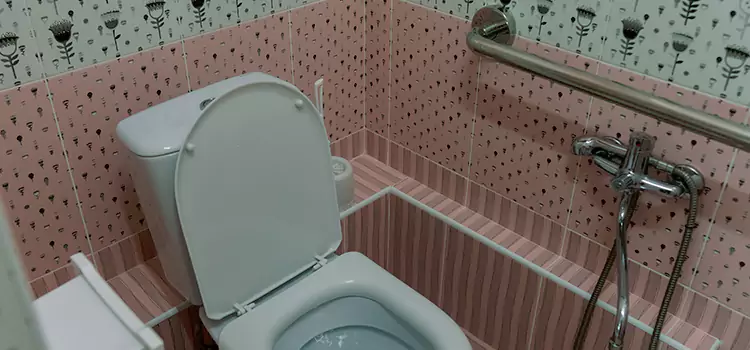 Meeting Diverse Needs With Accessible Restroom Solutions in Nogales, AZ