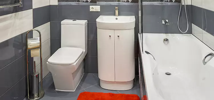 Hansgrohe Shaving Mirror Nogales